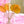 Load image into Gallery viewer, Single Original Honey Lollipop
